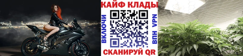 Где продают наркотики Кондрово COCAIN  МЕФ  Псилоцибиновые грибы  Марихуана  ГАШИШ 