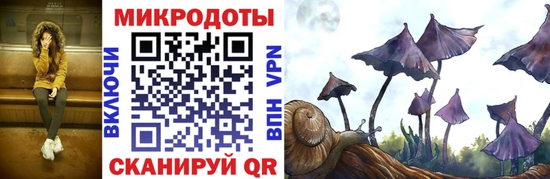 Галлюциногенные грибы GOLDEN TEACHER наркотики Кондрово